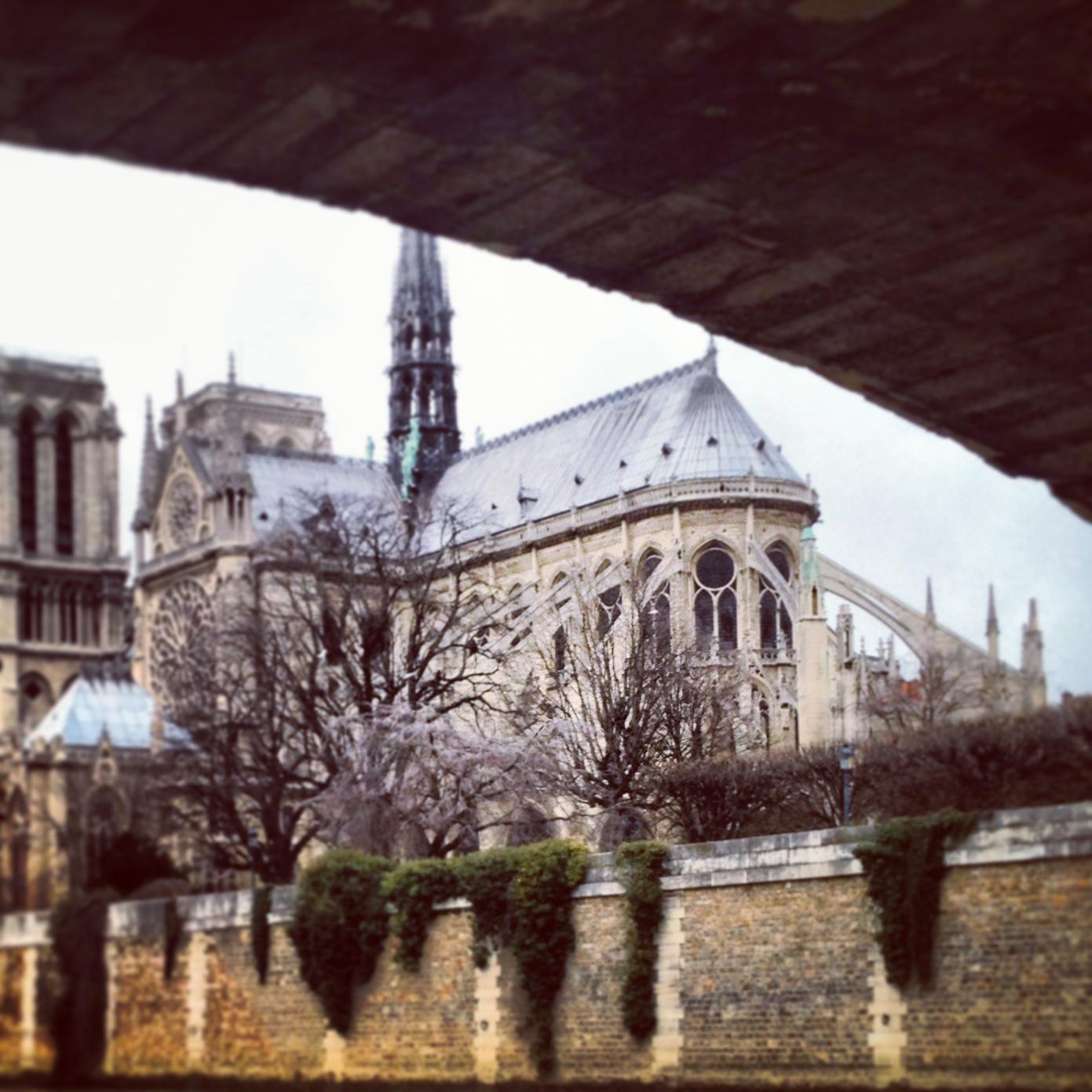 Cover image of this place Notre Dame Cathedral