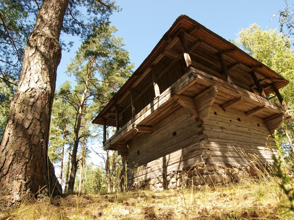 Cover image of this place The Ethnographic Open-Air Museum of Latvia