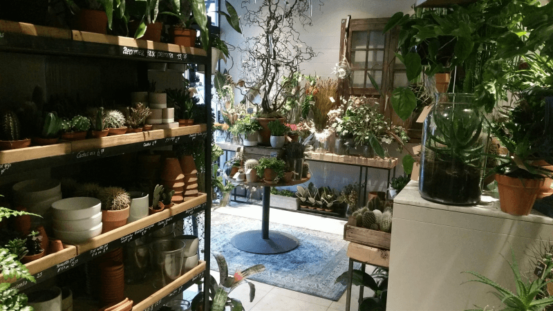 Cover image of this place Le Jardin
