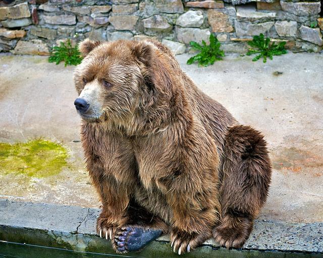 Cover image of this place Riga National Zoological Garden