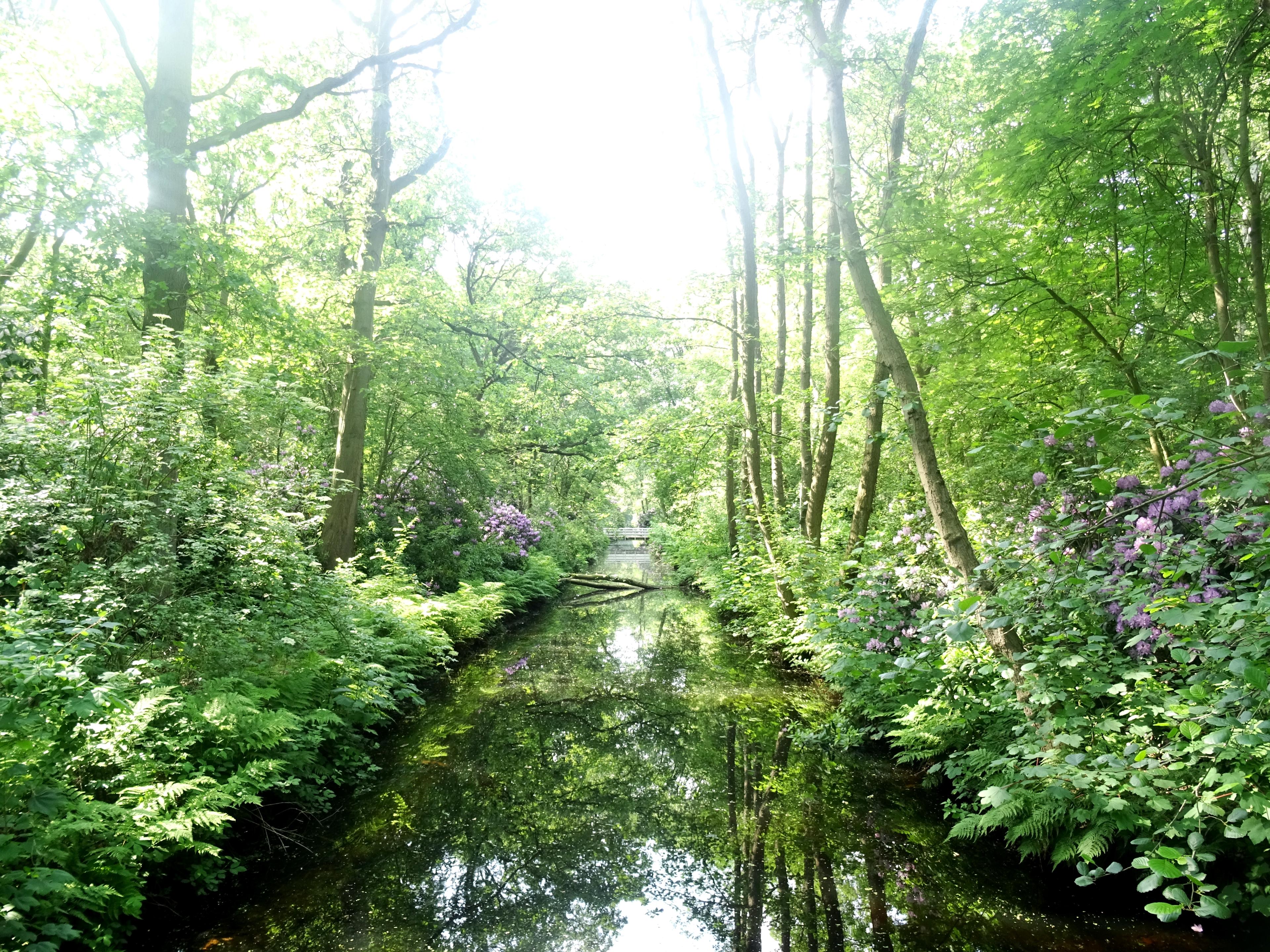 Cover image of this place Landgoed Clingendael
