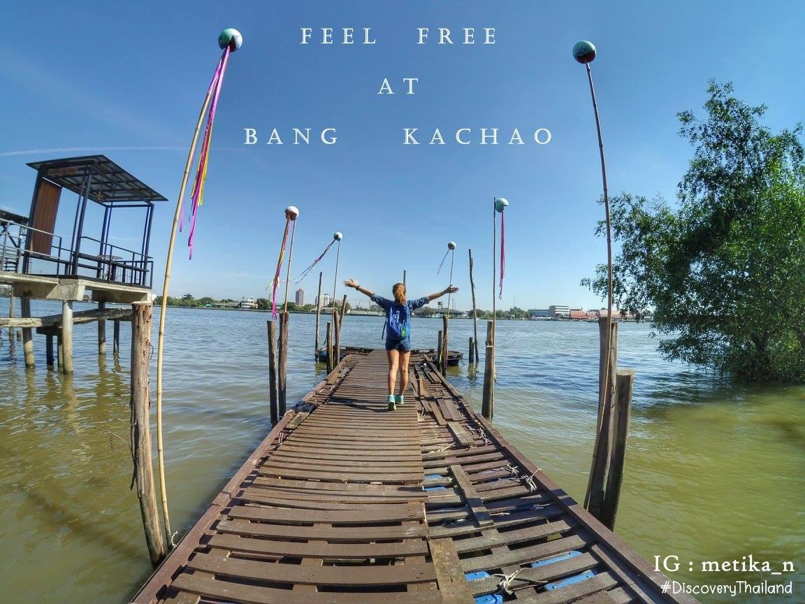 Cover image of this place Bangkok Tree House