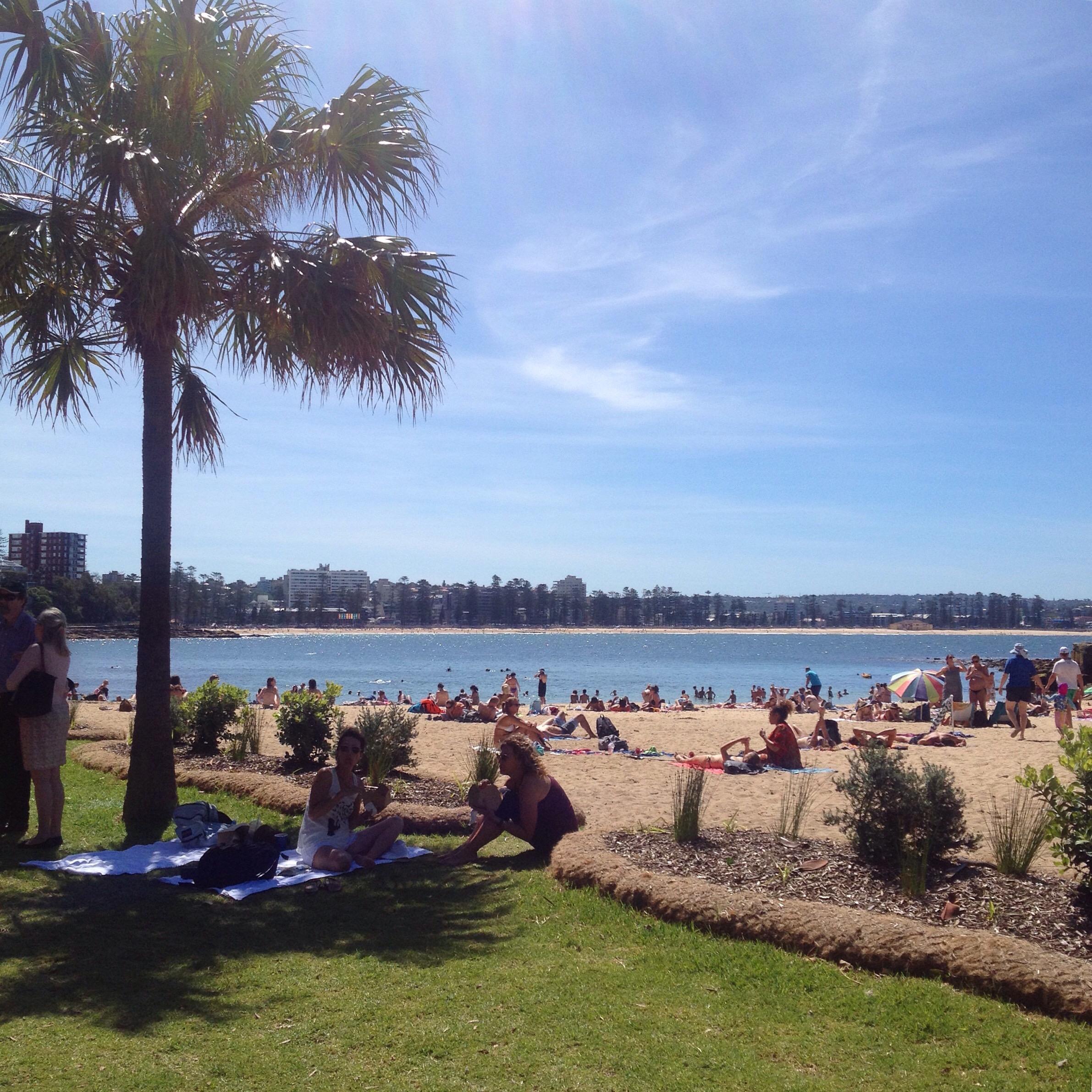Cover image of this place Shelley Beach