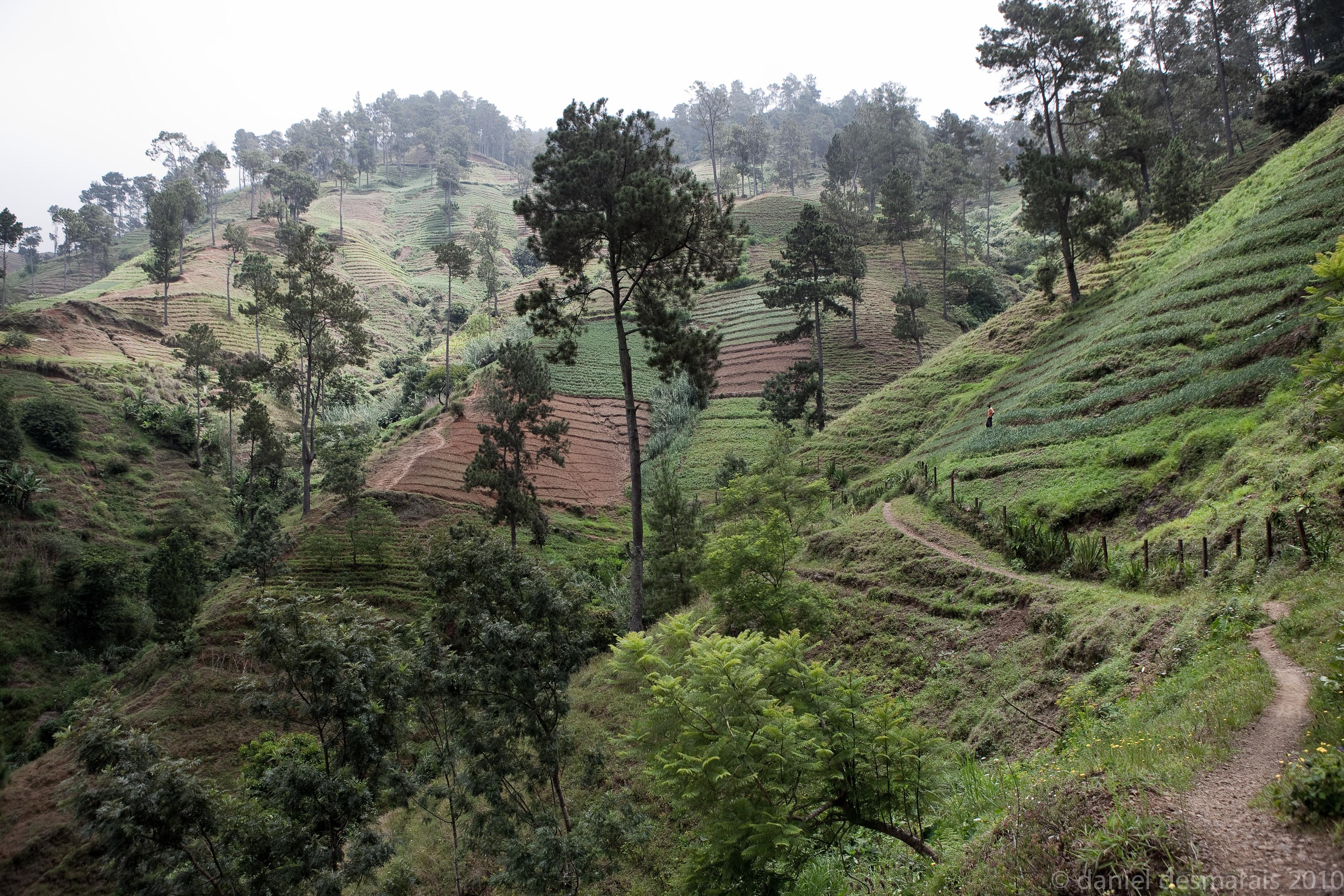 Cover image of this place Hiking trail to Pic La Selle