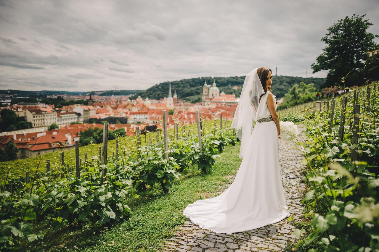Cover image of this place Svatováclavská vinice | St. Wenceslas´ Vineyard