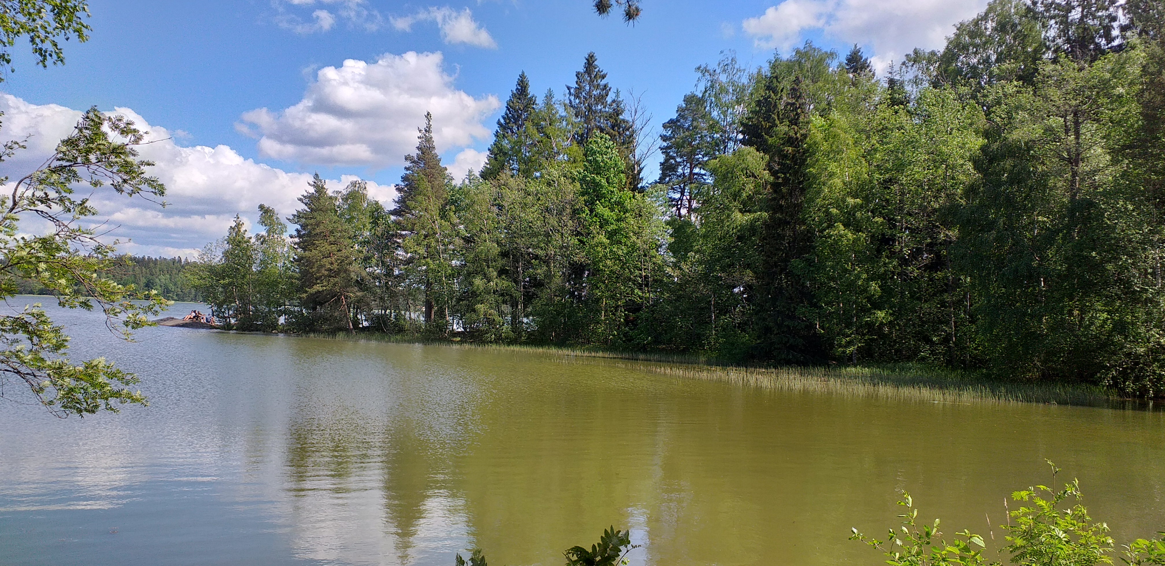 Cover image of this place Bodom