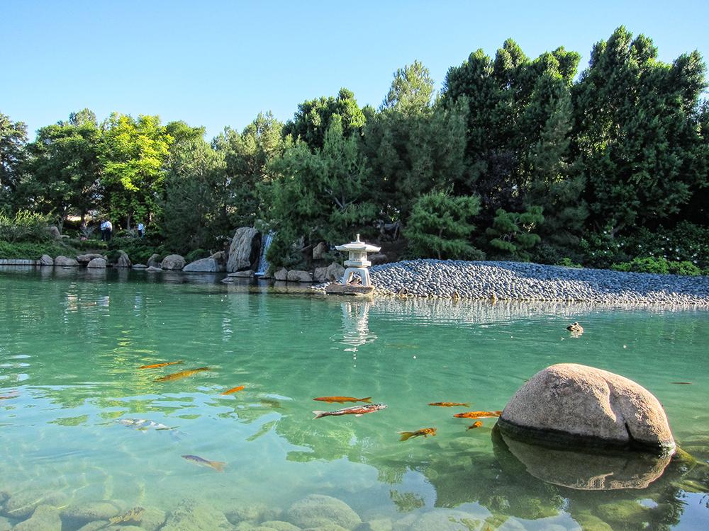 Cover image of this place Japanese Friendship Garden