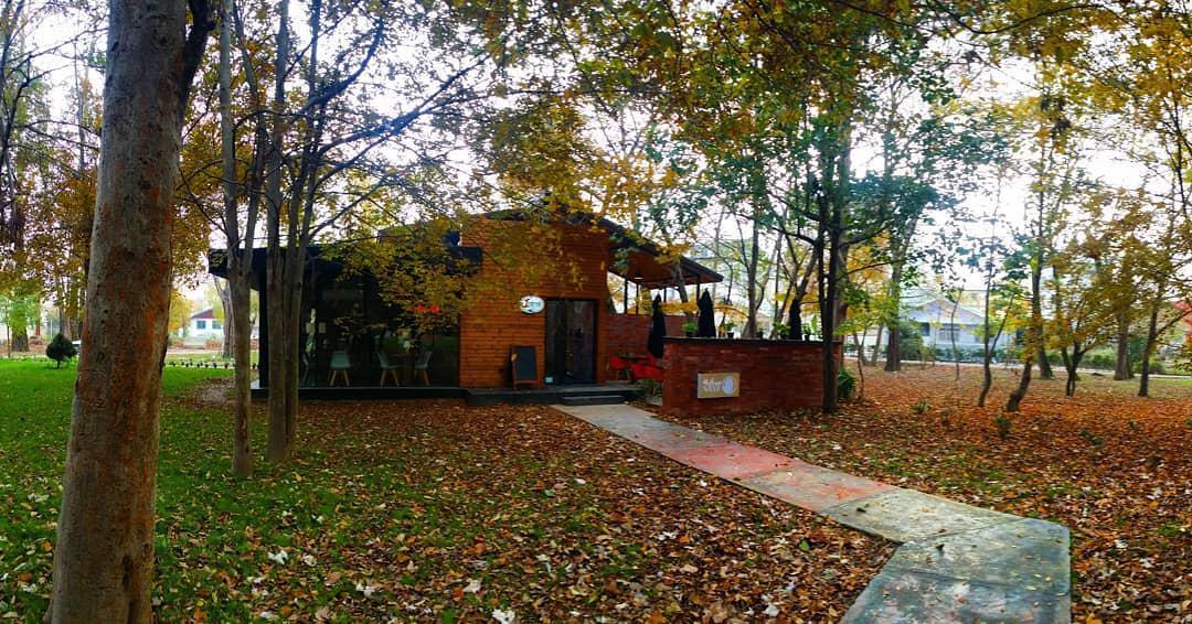 Cover image of this place saye book cafe (کافه کتاب سایه)