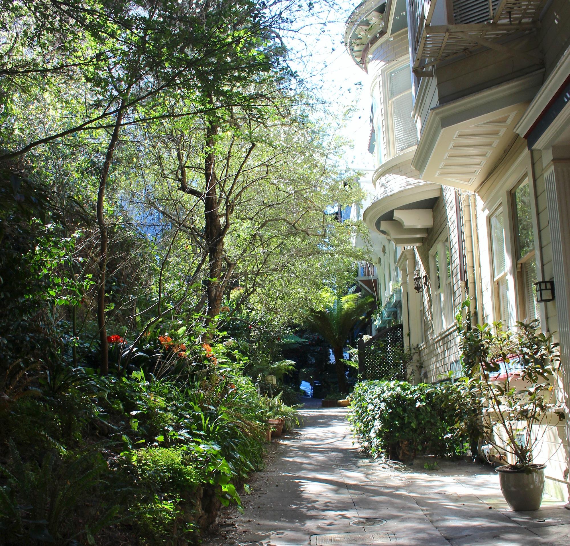 Cover image of this place Macondray Lane