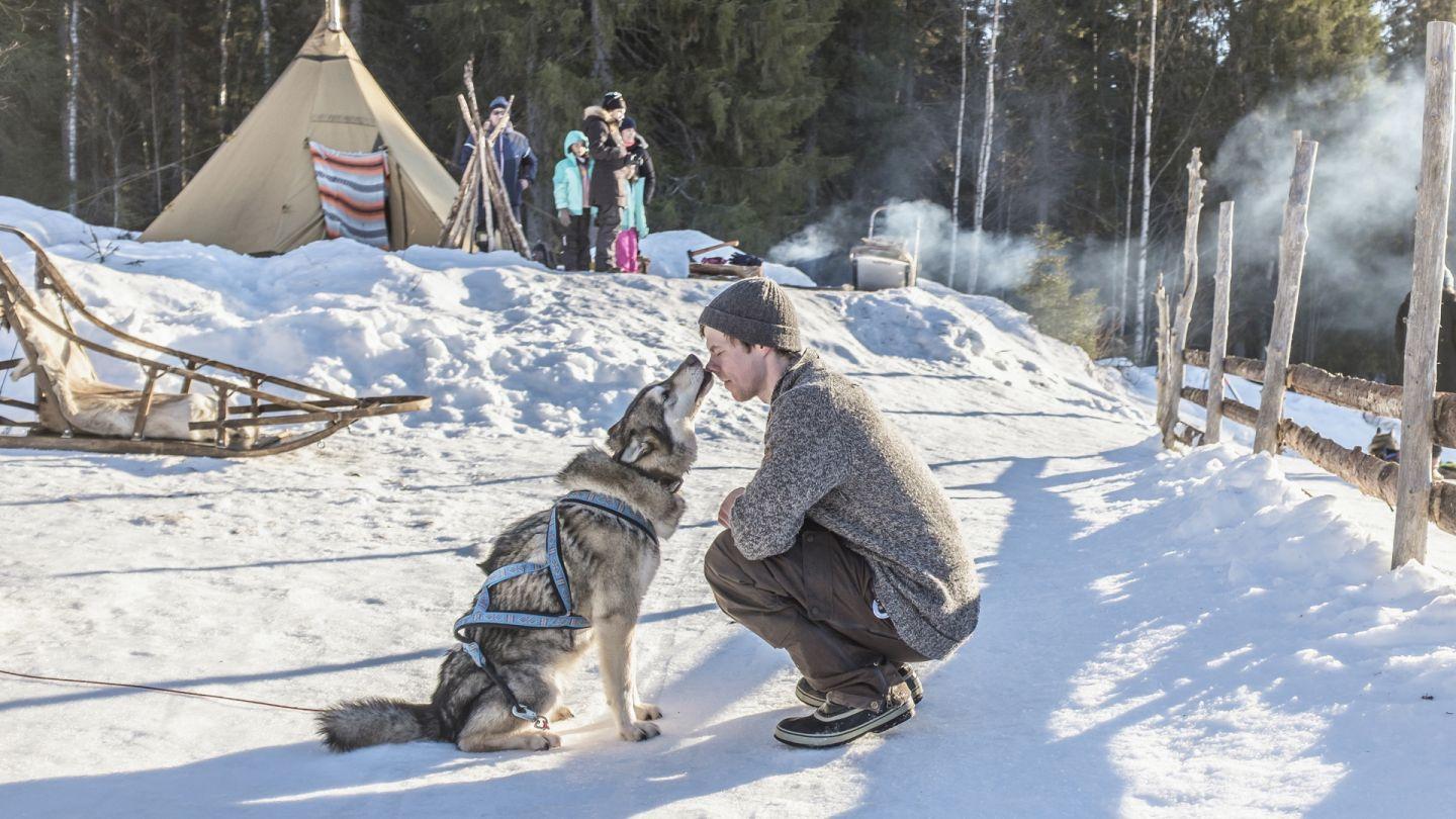 Cover image of this place Shaman Huskies
