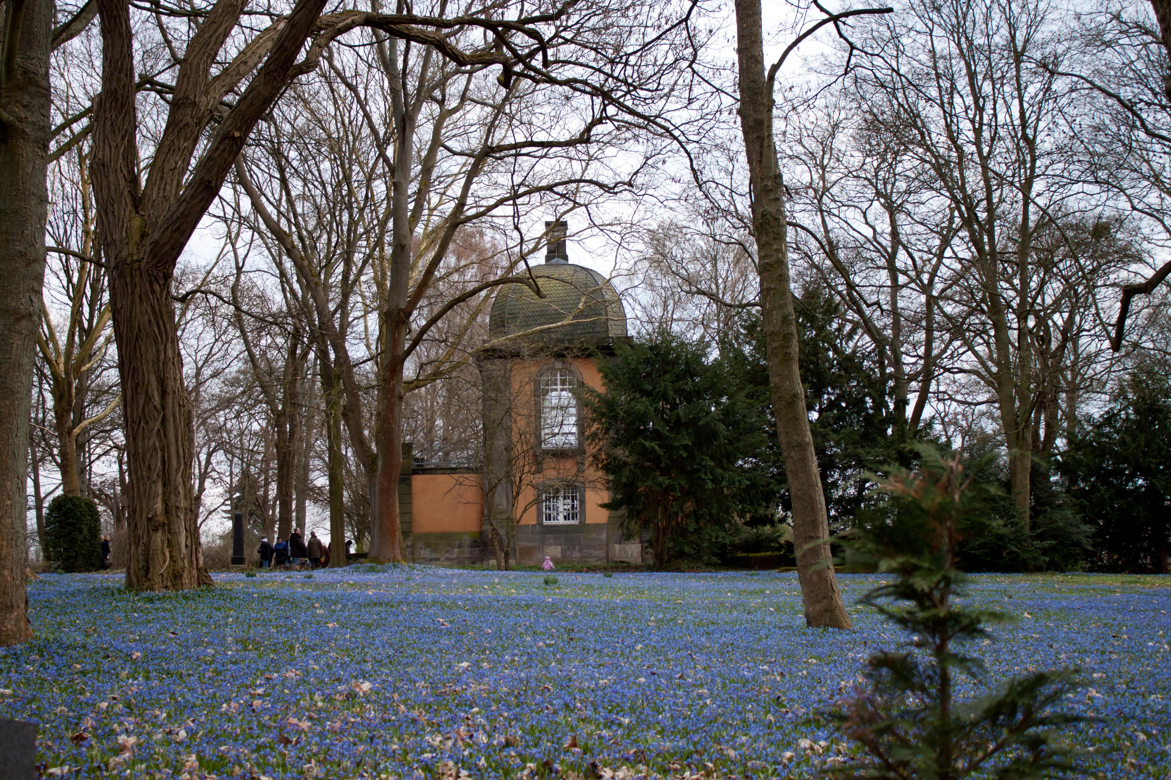 Cover image of this place Stadtfriedhof Lindener Berg - Old Cemetery