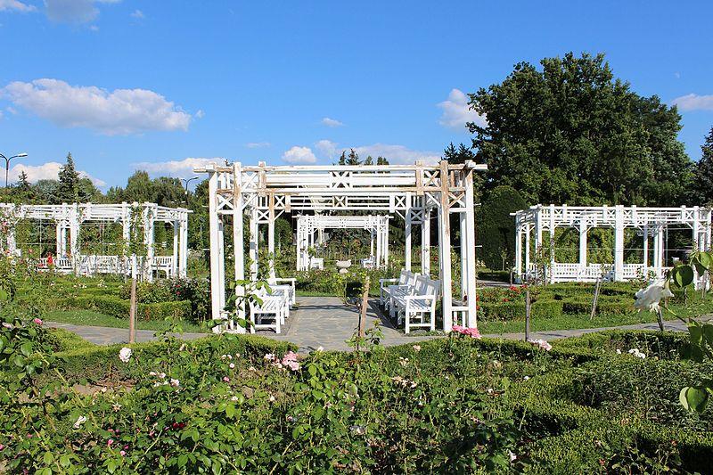 Cover image of this place Parcul Rozelor