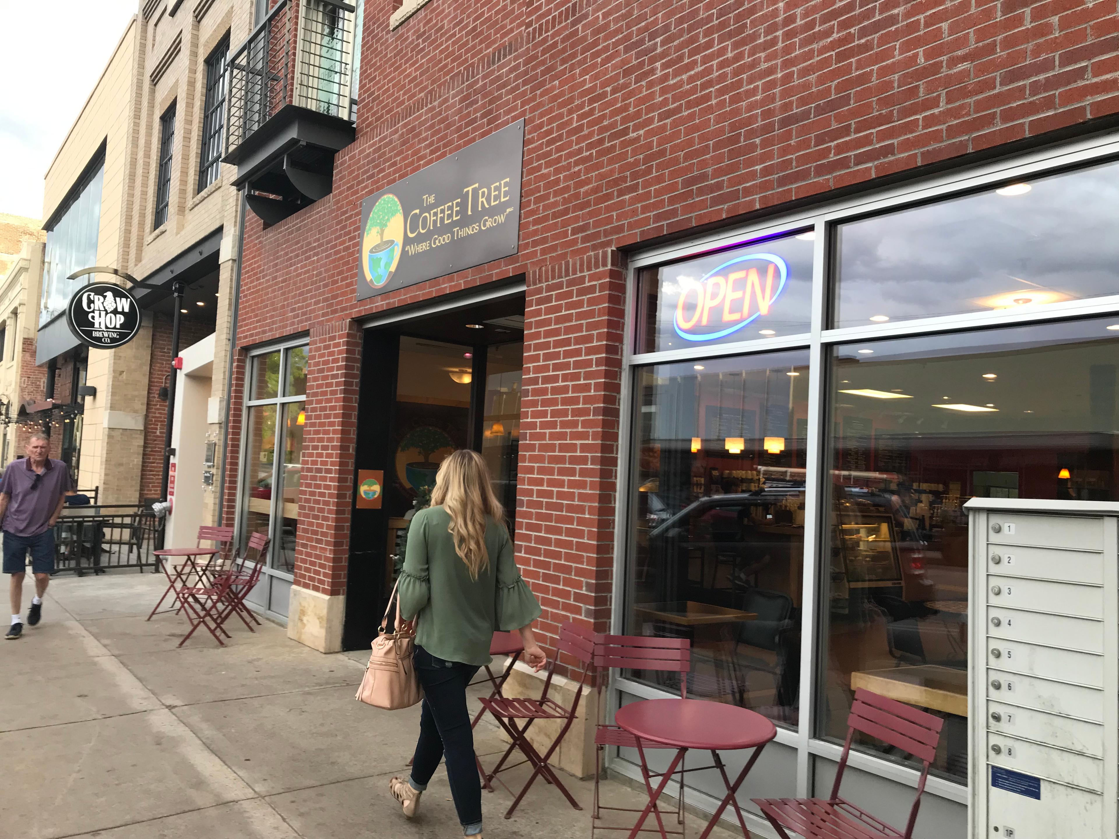 Cover image of this place The Coffee Tree