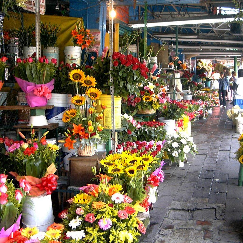 Cover image of this place Mercado de Flores San Ángel