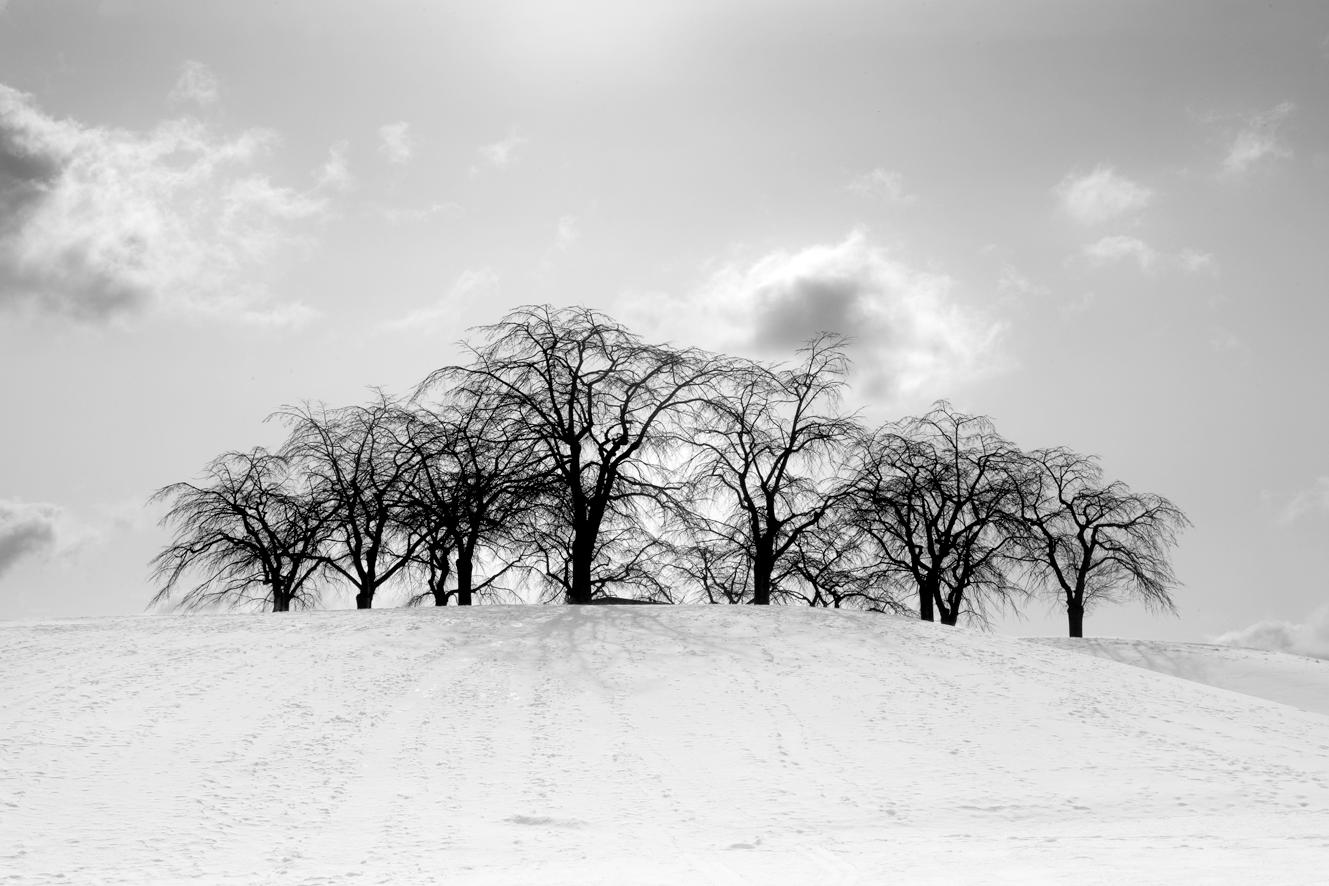 Cover image of this place Skogskyrkogården