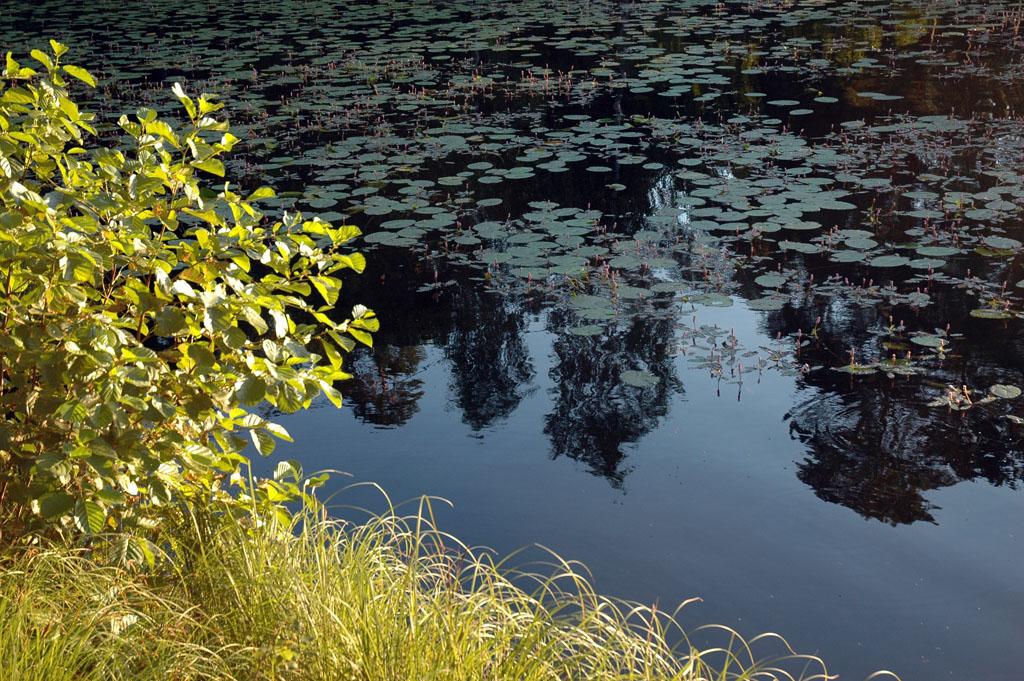 Cover image of this place Hellasgården