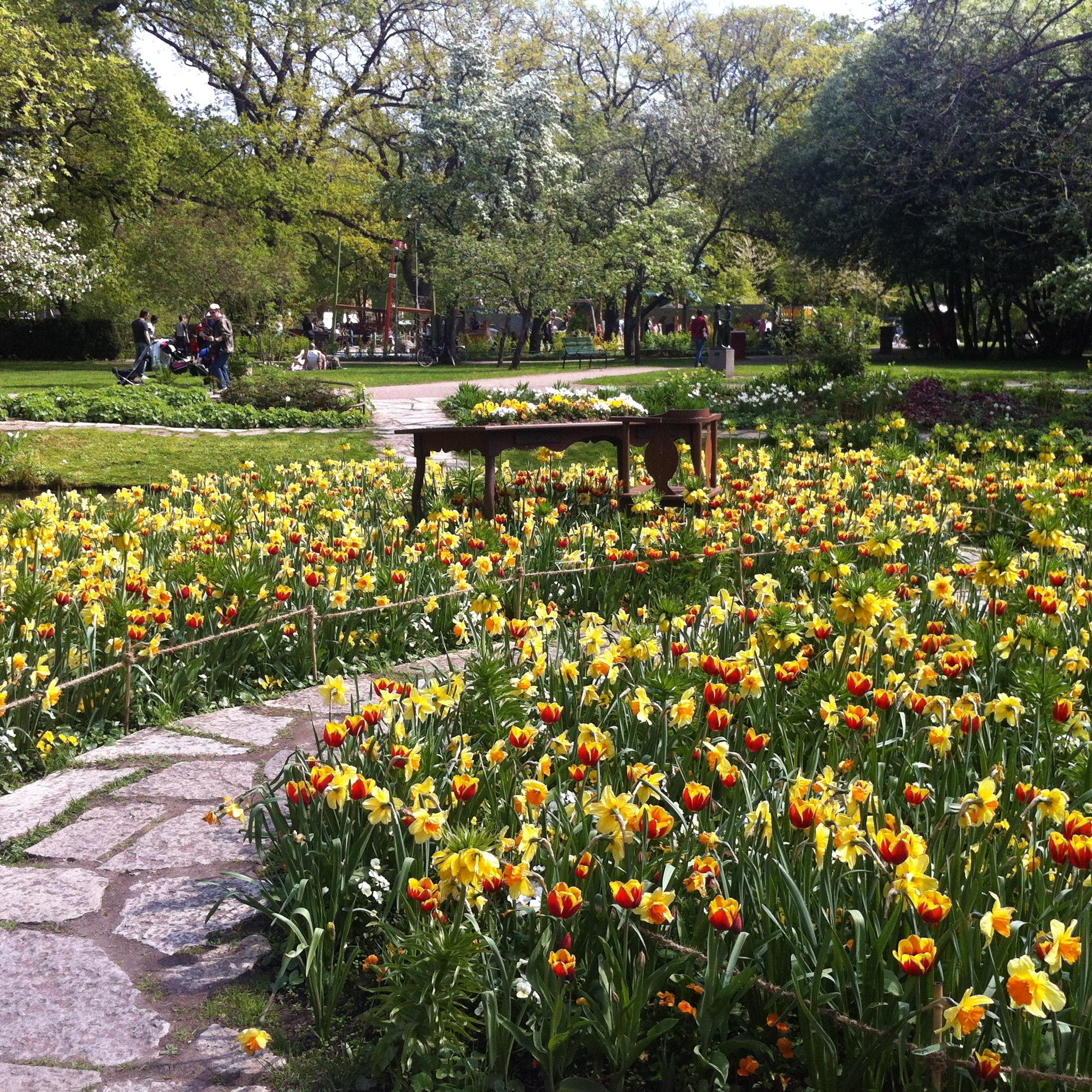 Cover image of this place Stadsträdgården