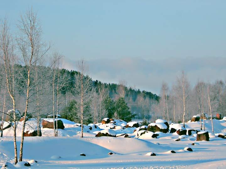 Cover image of this place Museum of Boulders (Музей Валуноў)