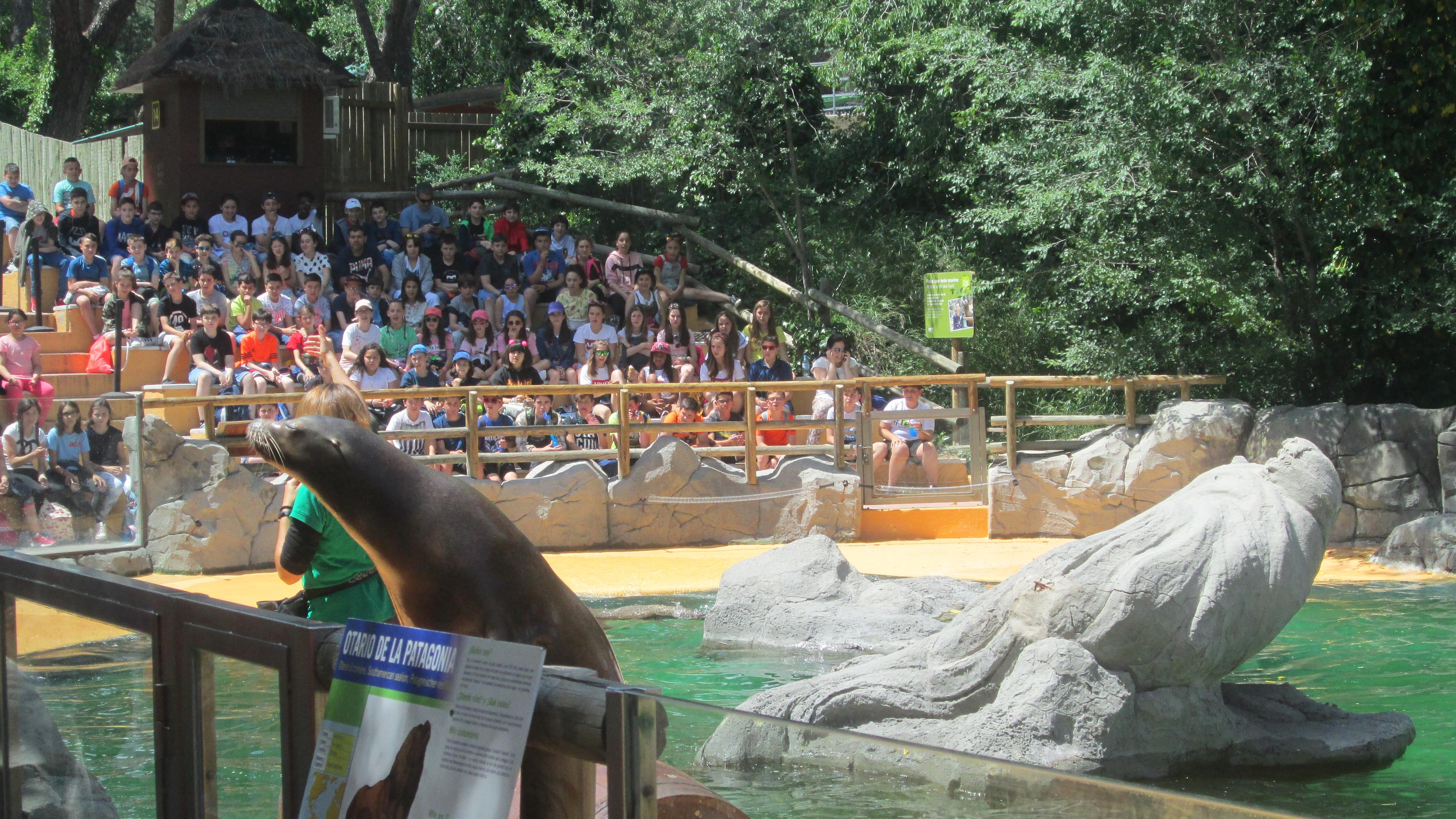 Cover image of this place Madrid'Zoo got Panda chinese Bears!! :))