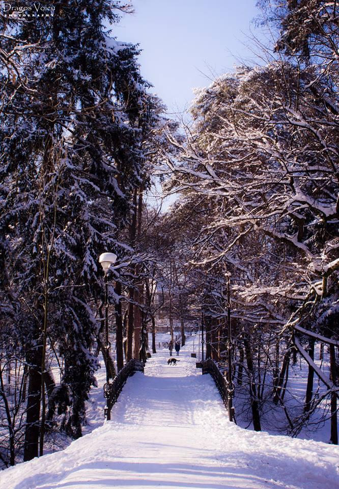 Cover image of this place Parcul Sub Arini