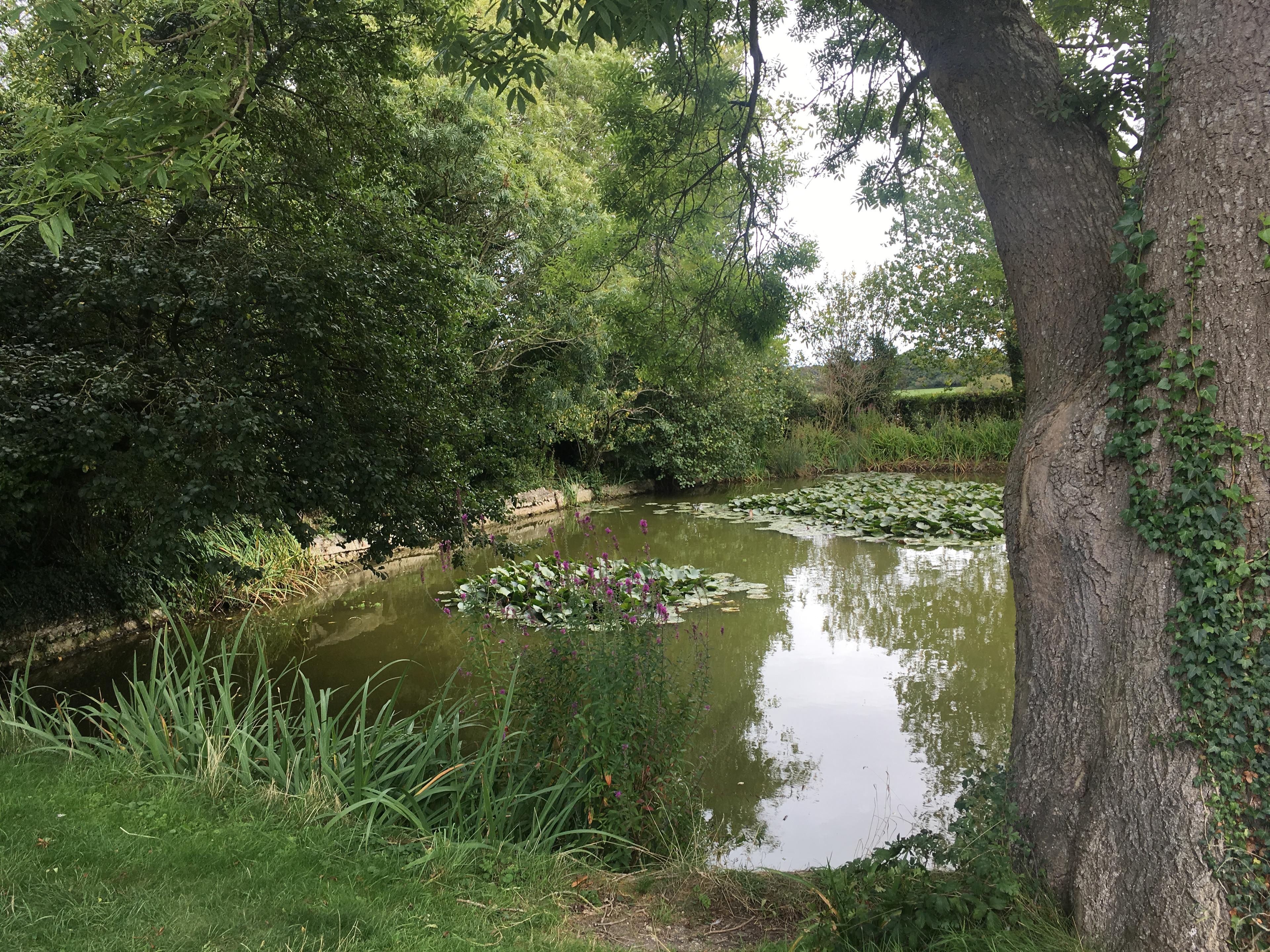 Cover image of this place Charleston Trust