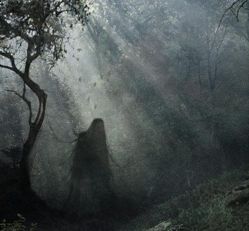 Cover image of this place The Hoia Forest and Hill