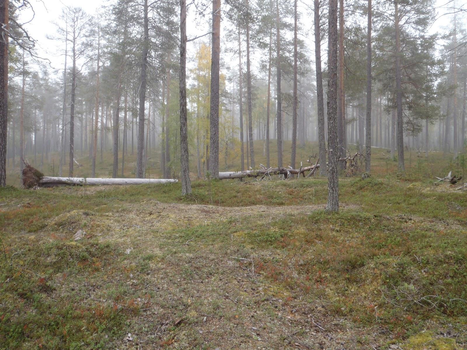 Cover image of this place Mustaperä's Stone Age House