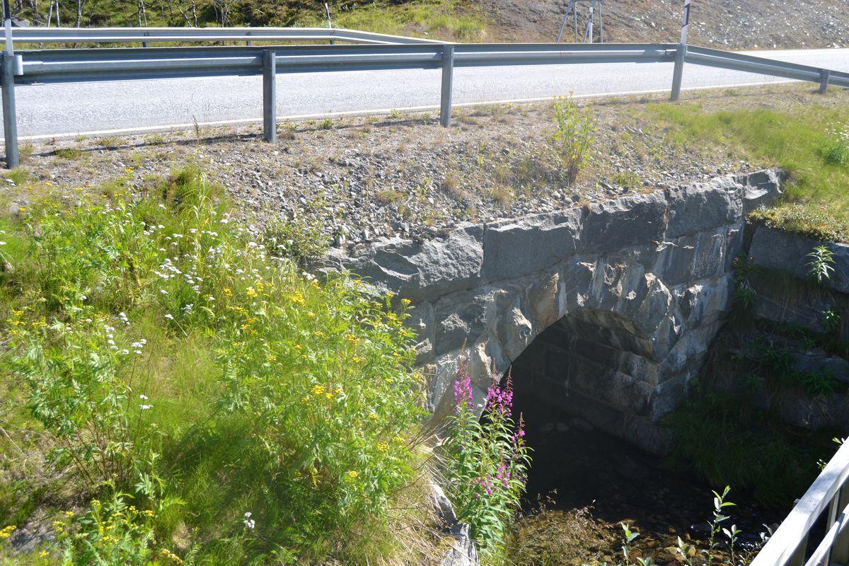 Cover image of this place Ahdaskuru's Museum Bridge