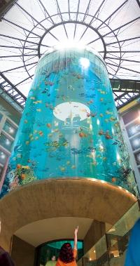 Cover image of this place AquaDom