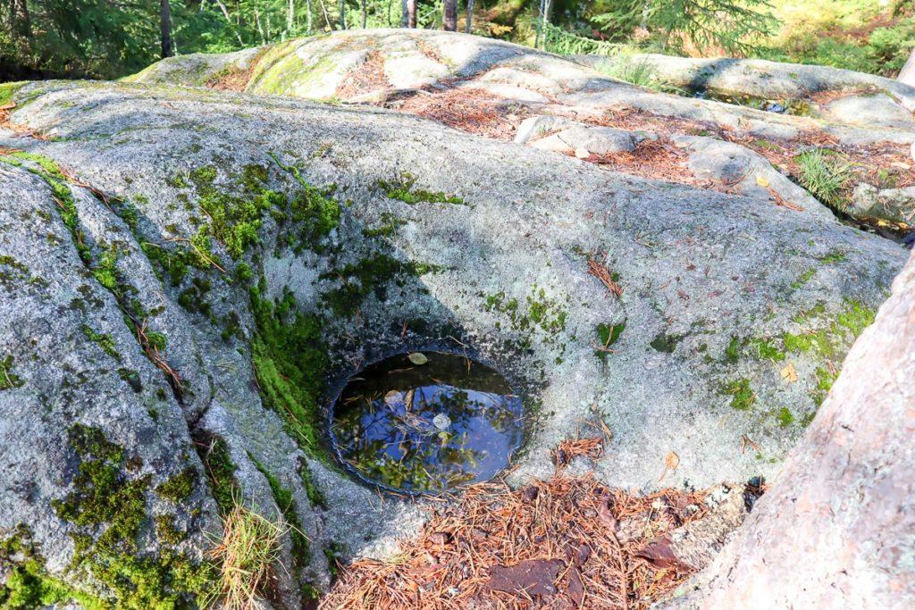 Cover image of this place Sorlammen luontopolku