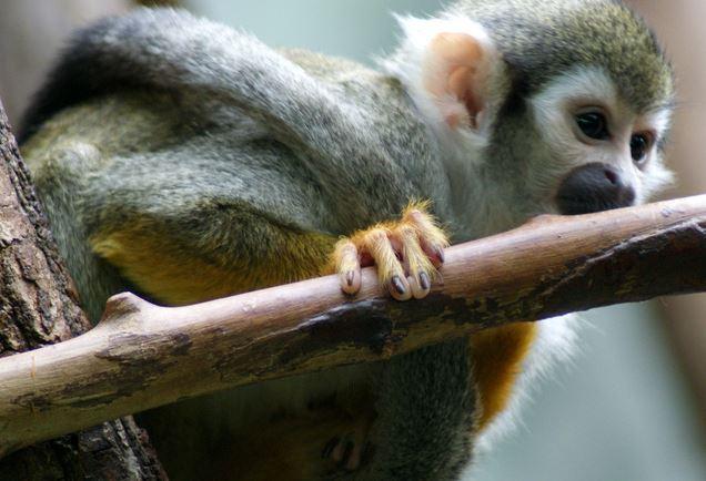 Cover image of this place Tierpark Hellabrunn