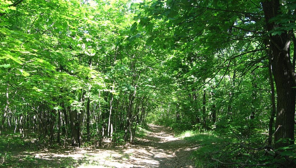 Cover image of this place National park "Kumysnaya polyana"