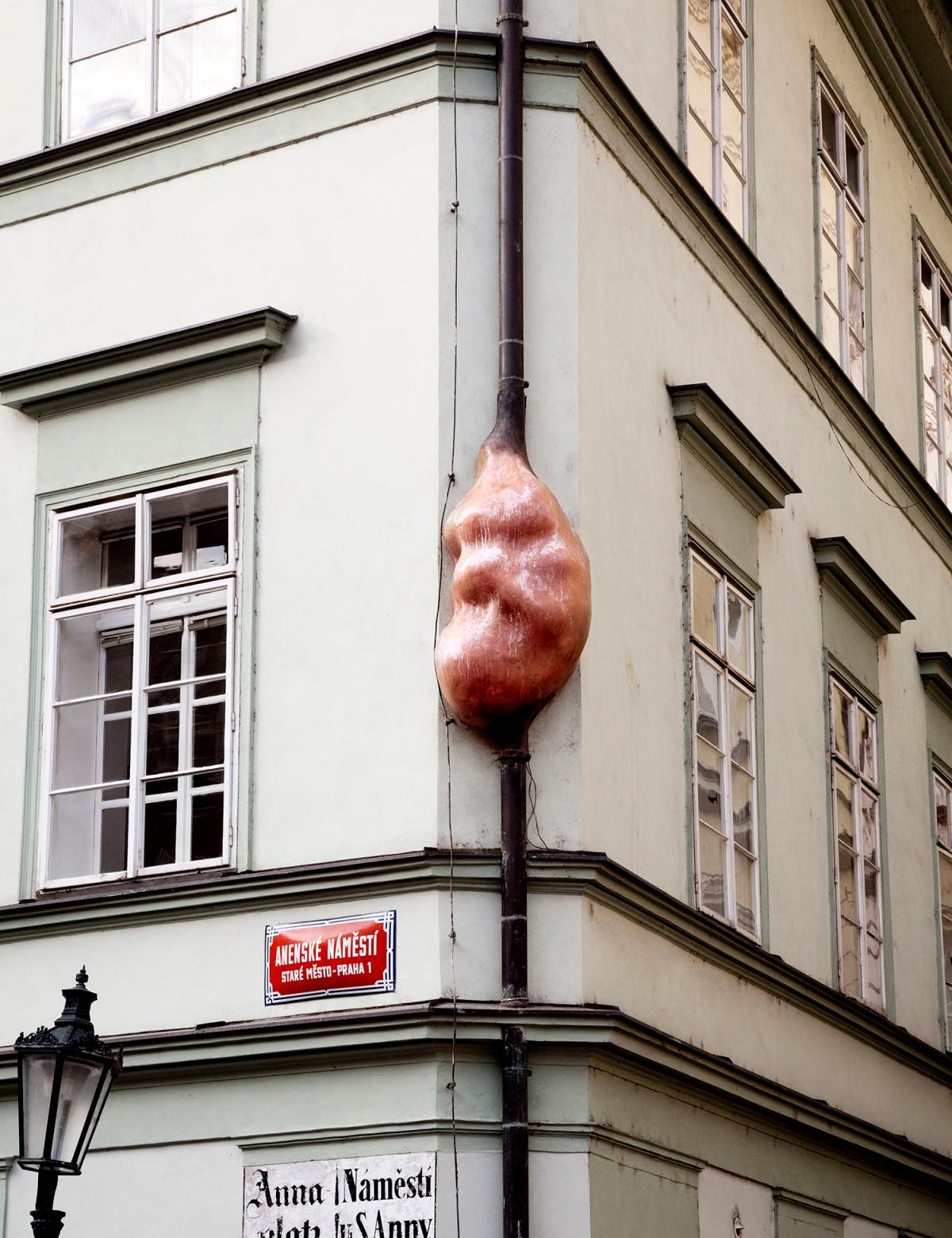Cover image of this place Embryo
