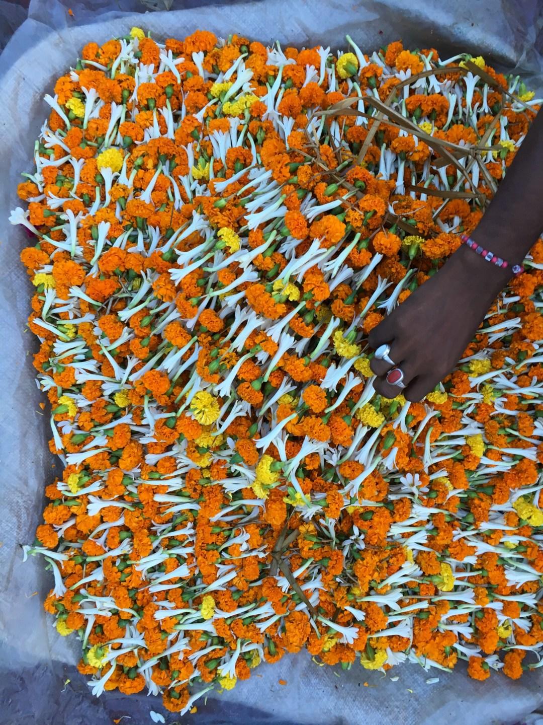 Cover image of this place Mullick Ghat Flower Market