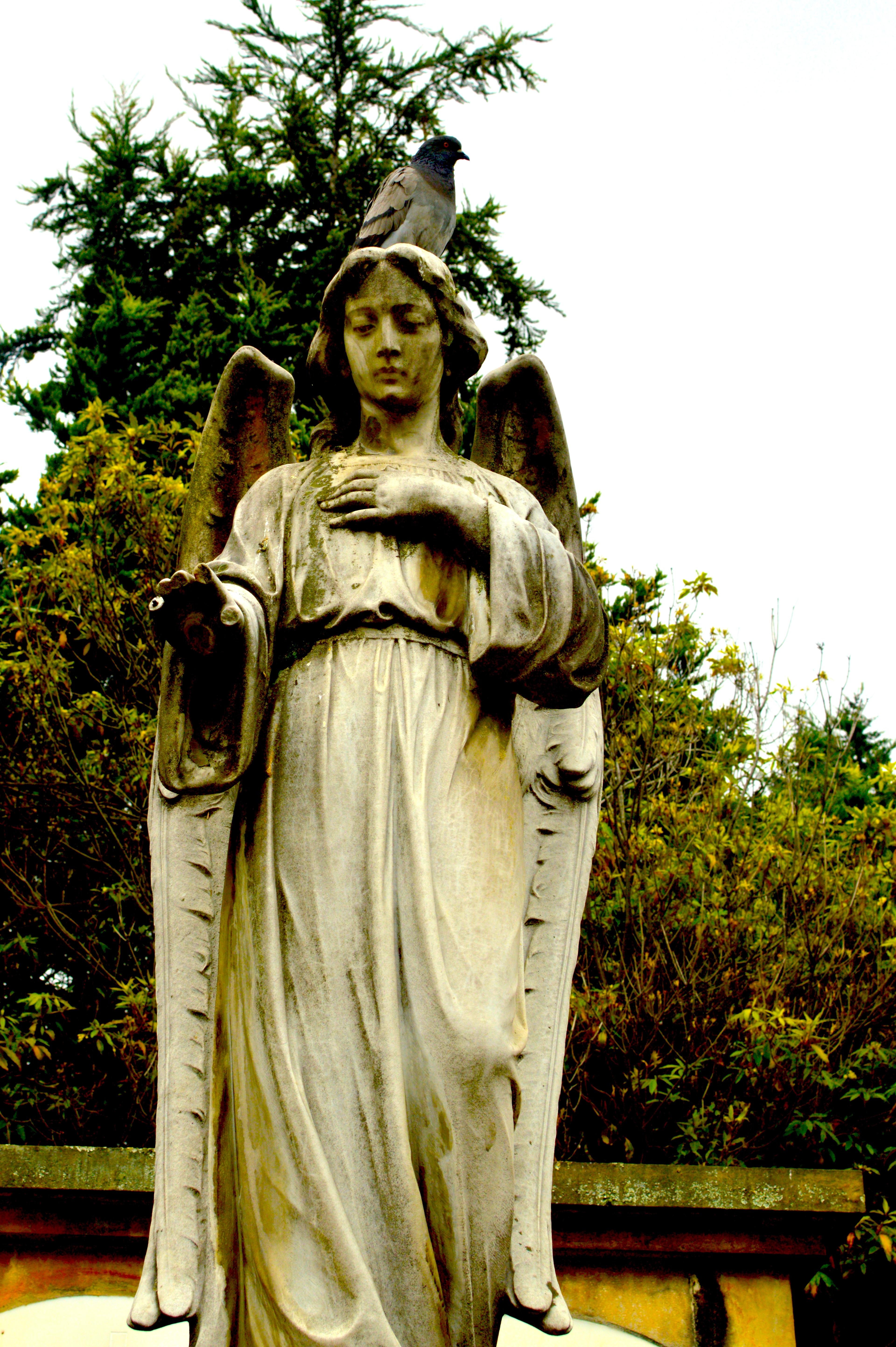 Cover image of this place Cementerio central calle 26