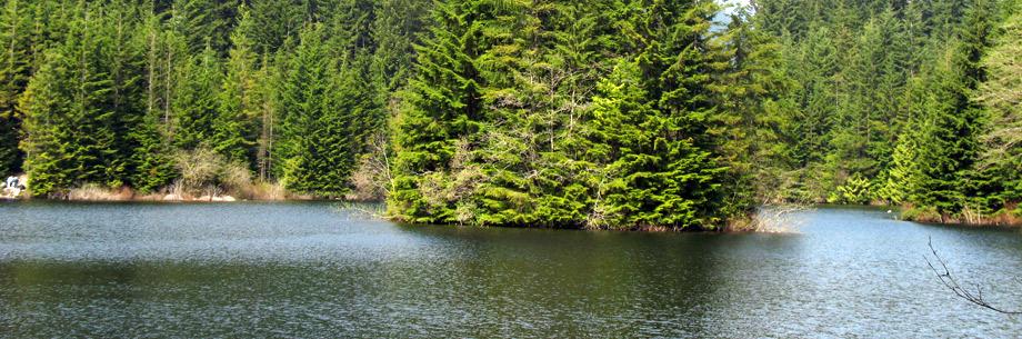 Cover image of this place Seymour Valley Trailway 