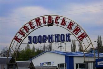 Cover image of this place Ptychyy Rynok/Animal Market