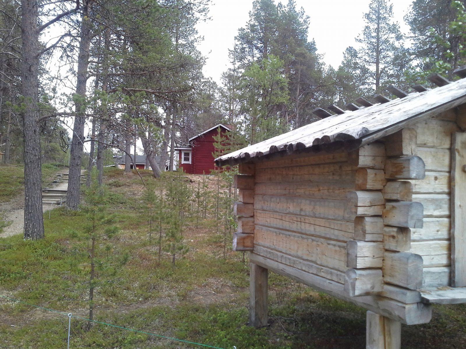 Cover image of this place Skolt Sàmi Traditional House