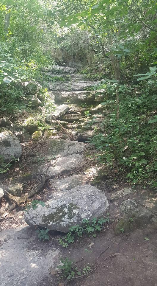 Cover image of this place Barton Creek Greenbelt
