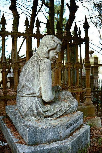 Cover image of this place Házsongárd Cemetery