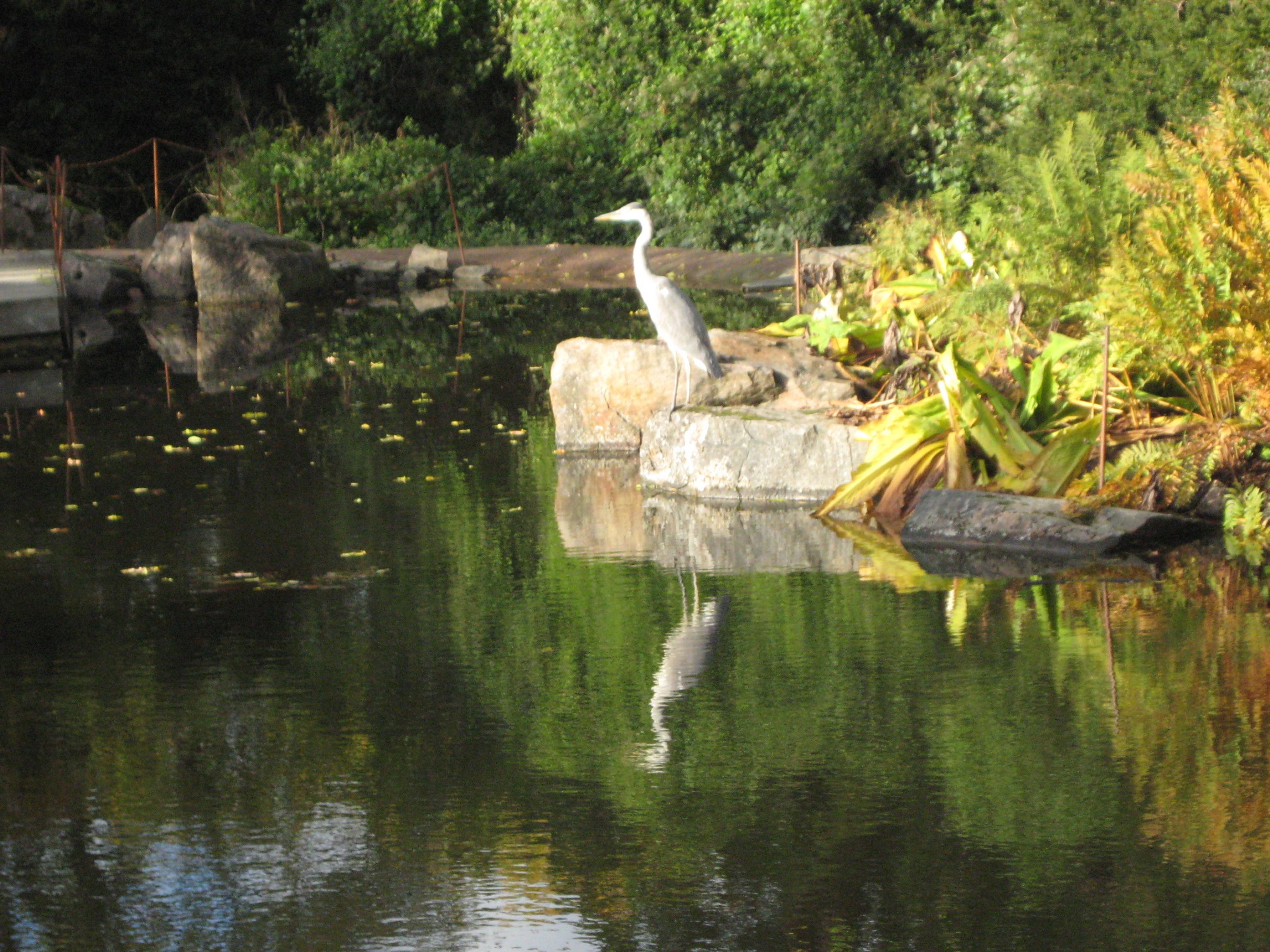 Cover image of this place Botaniska Trädgården