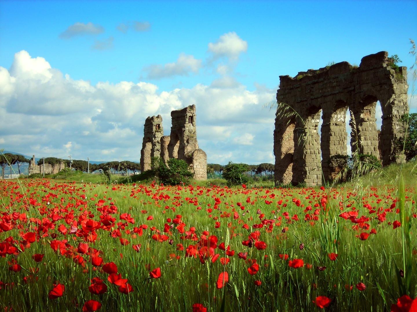 Cover image of this place Appia Antica Regional Park