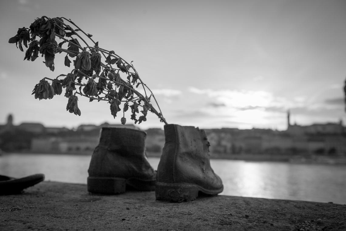 Cover image of this place Shoes on the Danube