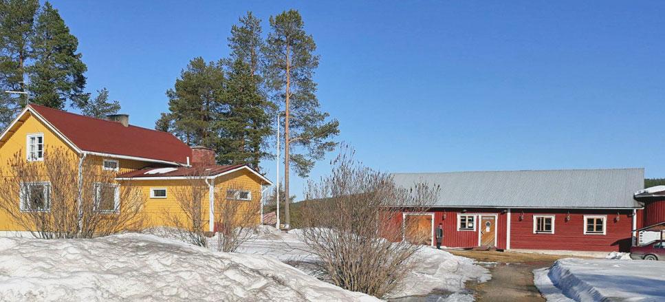 Cover image of this place Landlord Matti's Museum