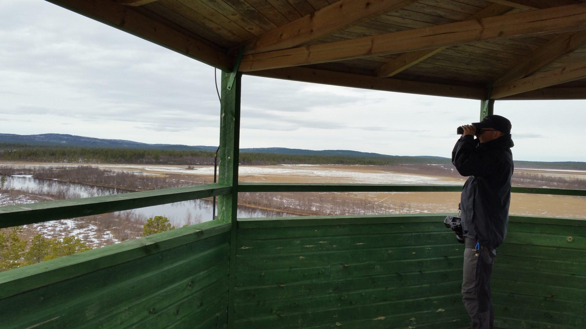 Cover image of this place Toivoniemi Bird Watching Tower