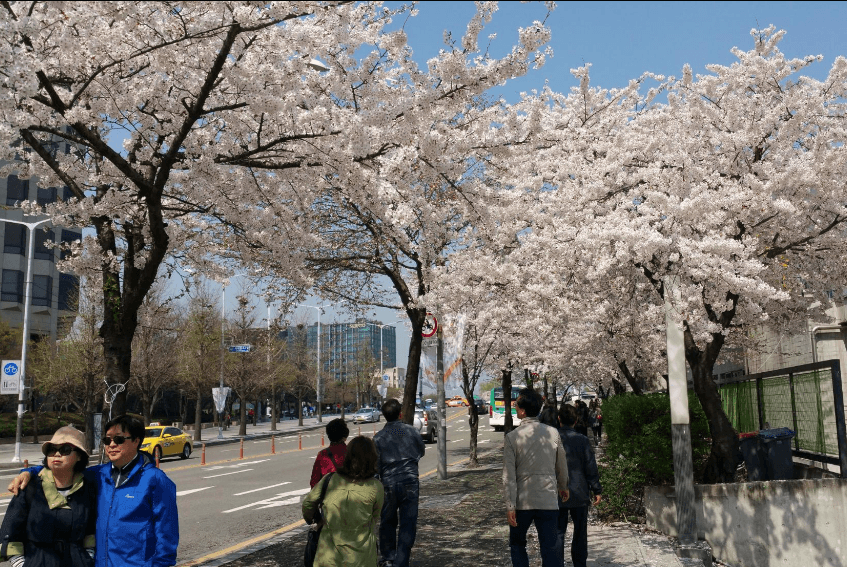 Cover image of this place Yeouido Park