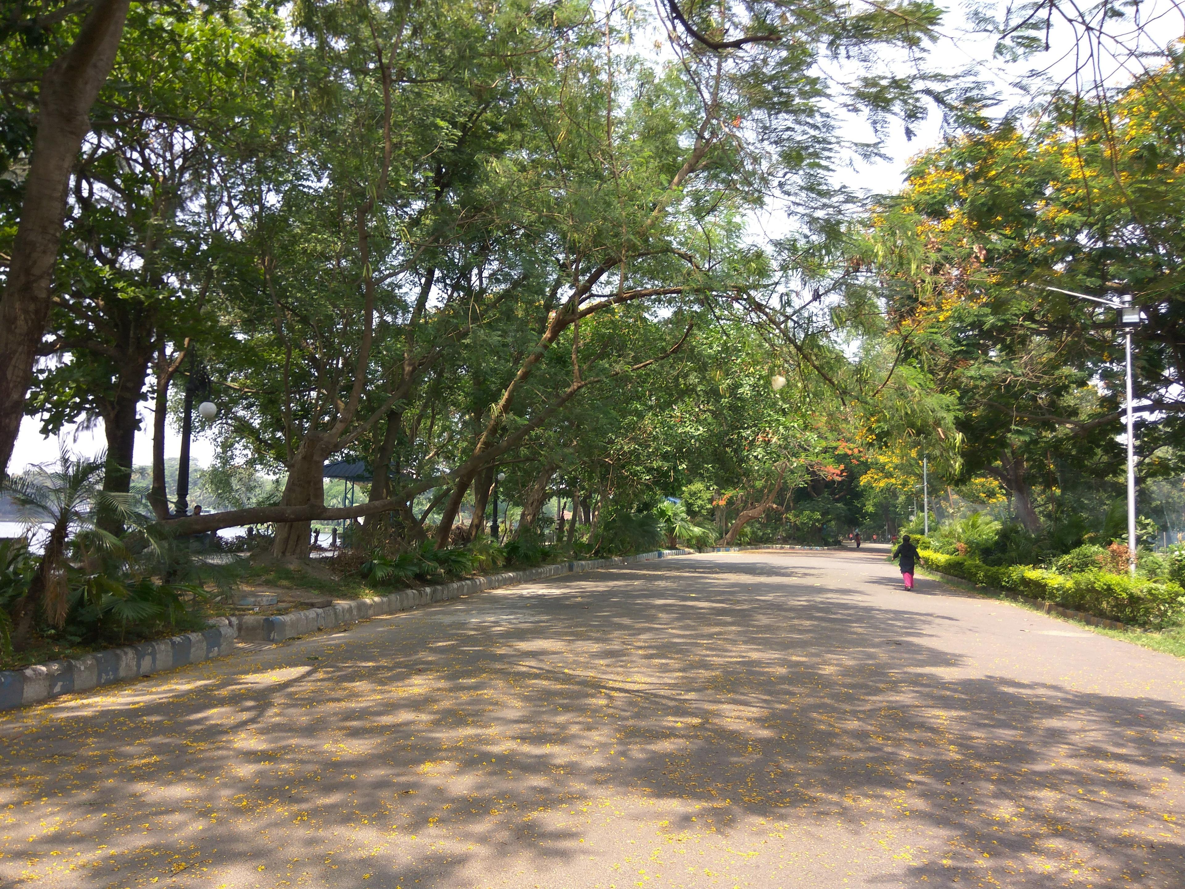 Cover image of this place Rabindra Sarobar Lake