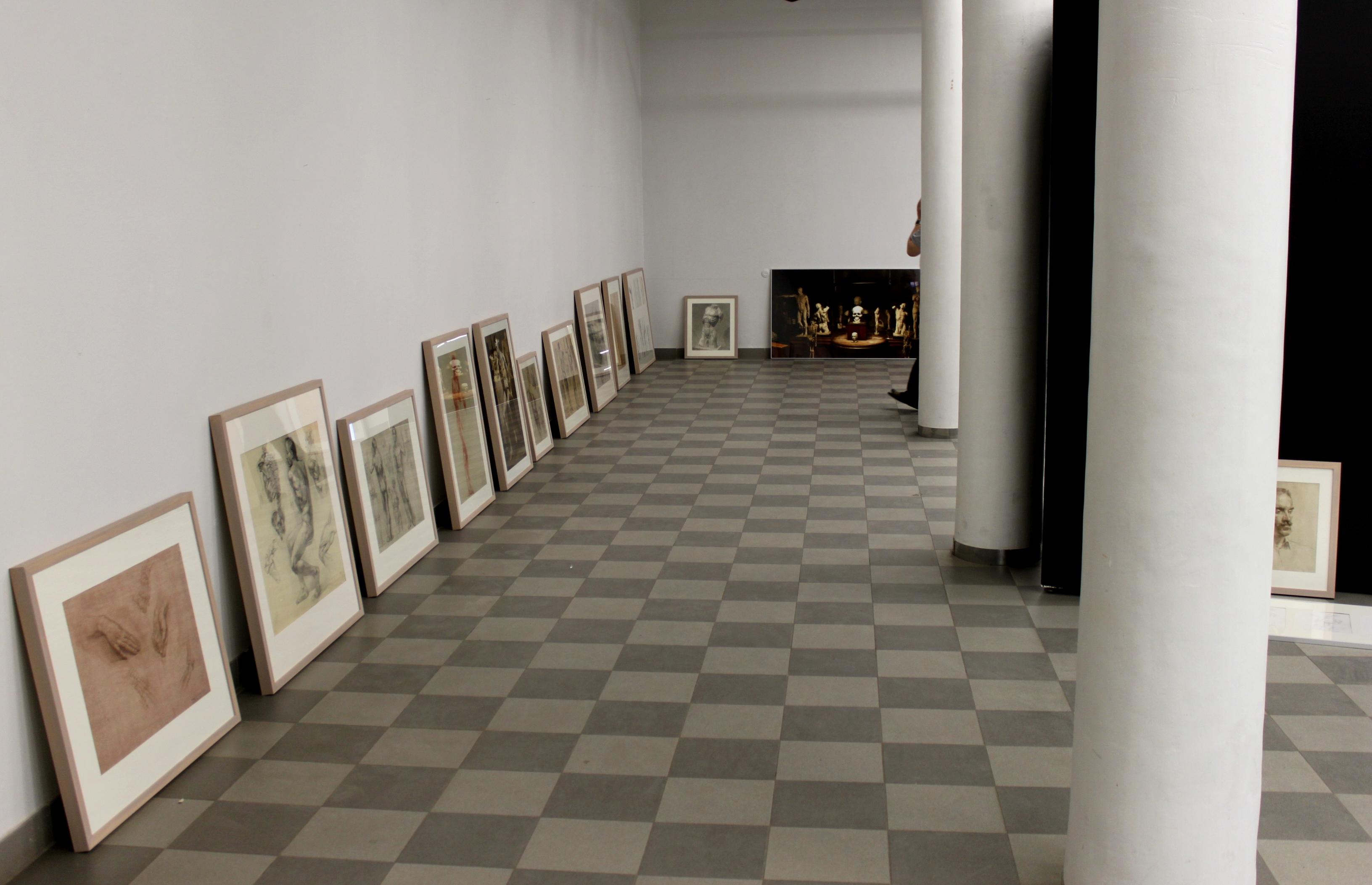 Cover image of this place Gallery Noorus