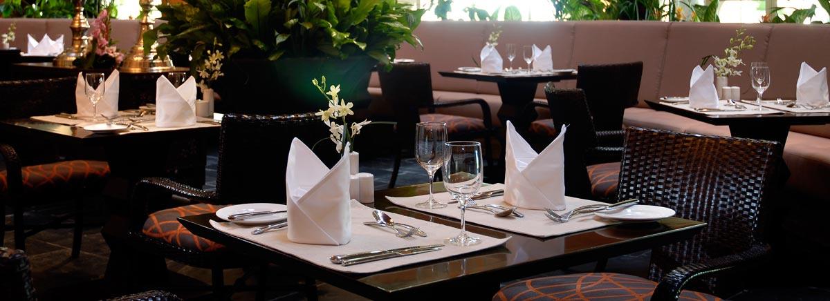 Cover image of this place The Palm Restaurant