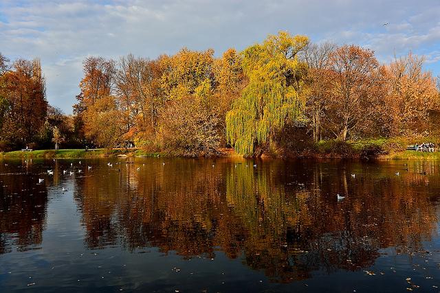 Cover image of this place Park Skaryszewski